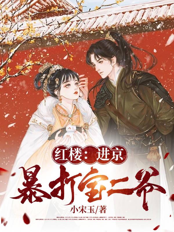 红楼小说打宝玉